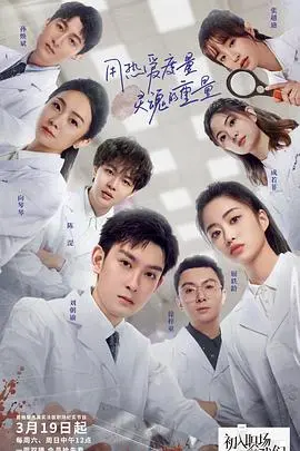 《初入职场的我们法医季》：探寻真相，剖析职场百态