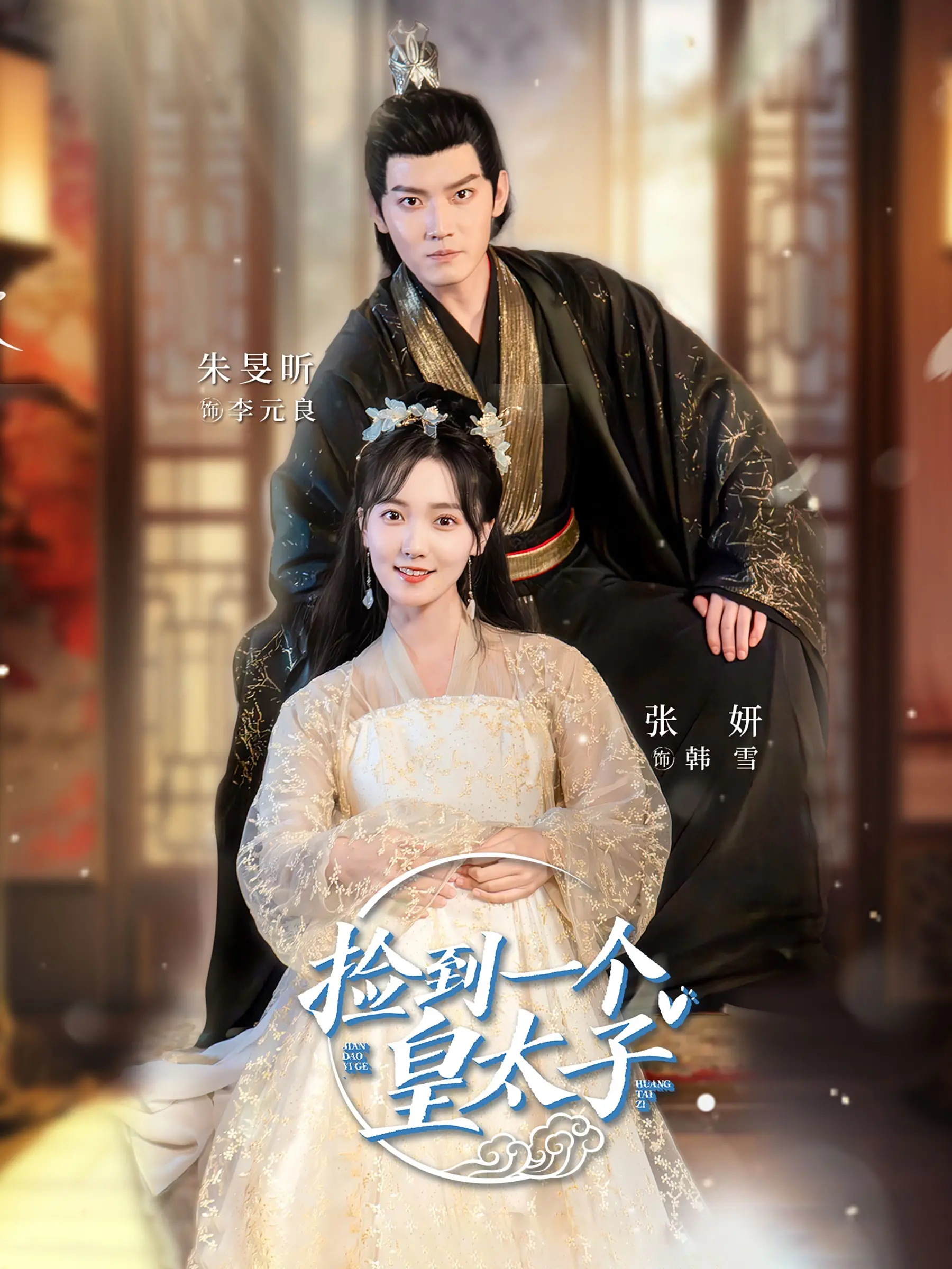 捡到一个皇太子：一场穿越时空的奇遇与冒险