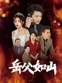 《岳父的礼物》：亲情与责任的暖心故事