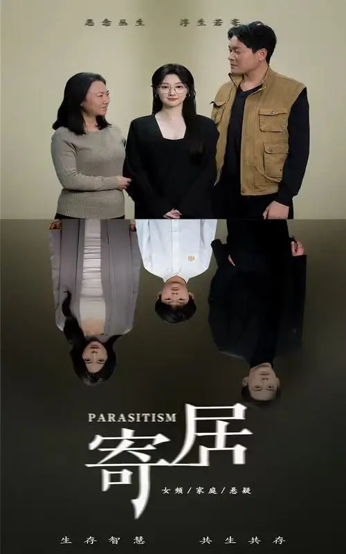 《寄居》：当孤独遇上治愈，一场关于自我救赎的温暖漂流